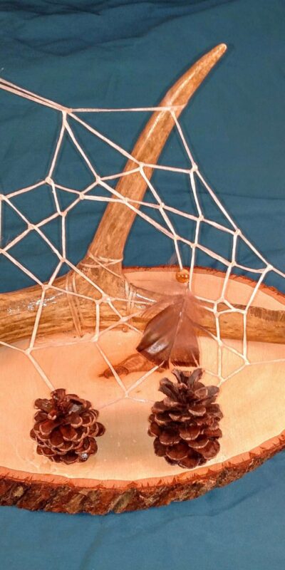 Deer Antler Dream Catcher